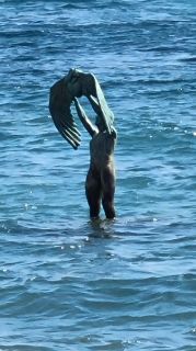 2024-03-Playa_de_Pozo-44.jpg